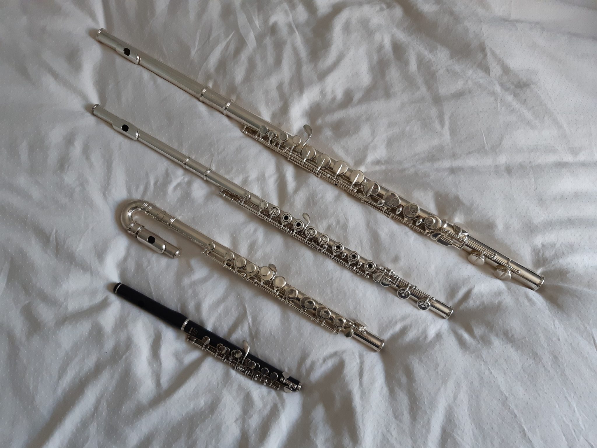 Flûte traversière Ecole de musique L'Isle sur la